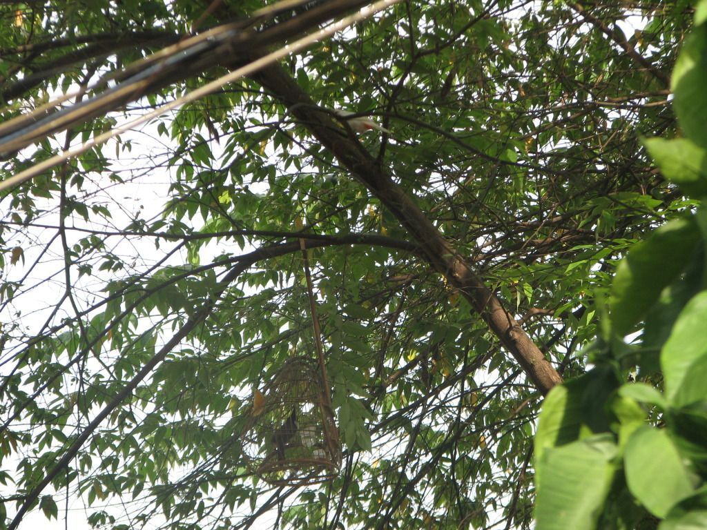 IMG_0189.jpg
